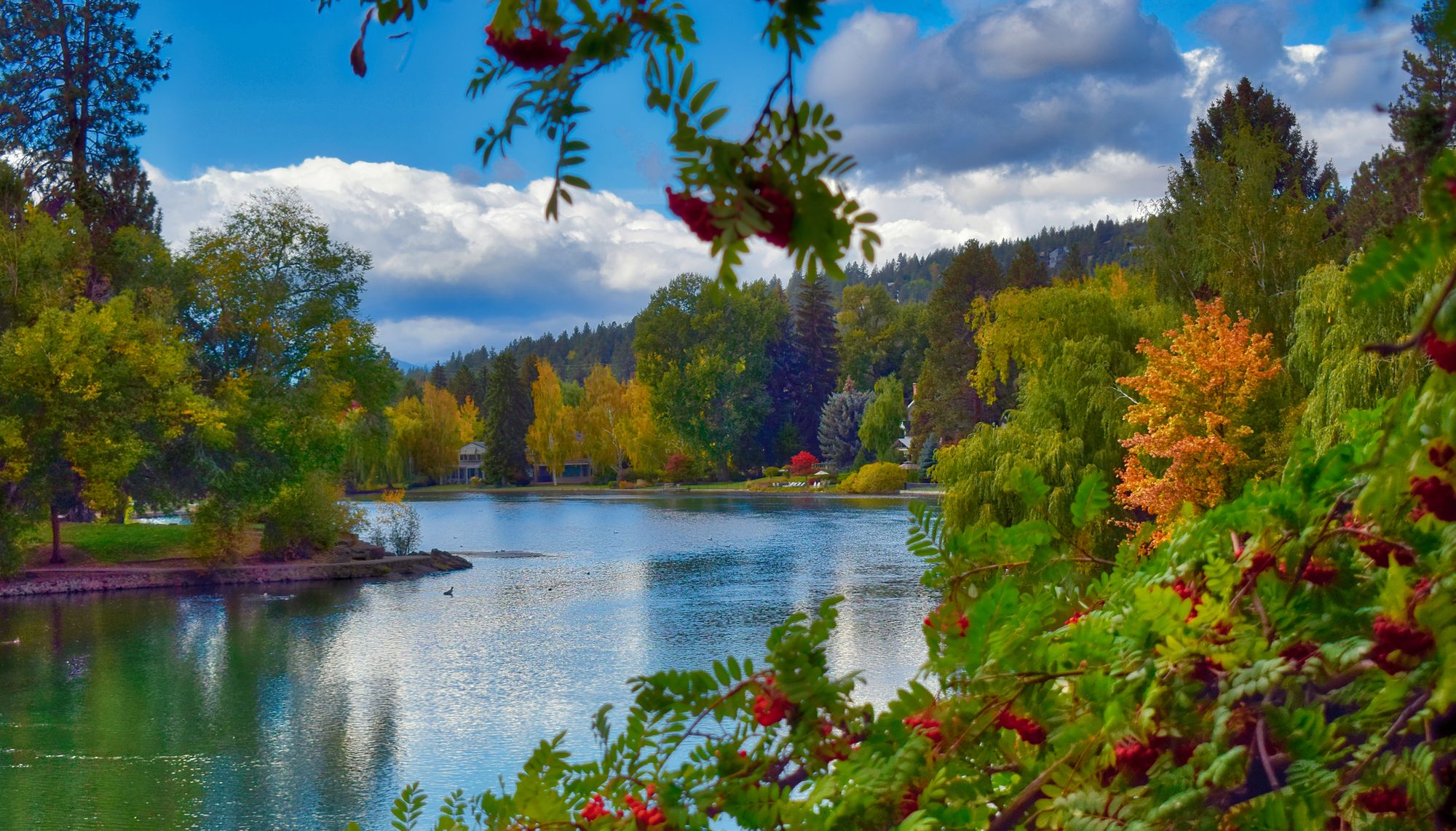 Mirror Pond framed by autumn trees