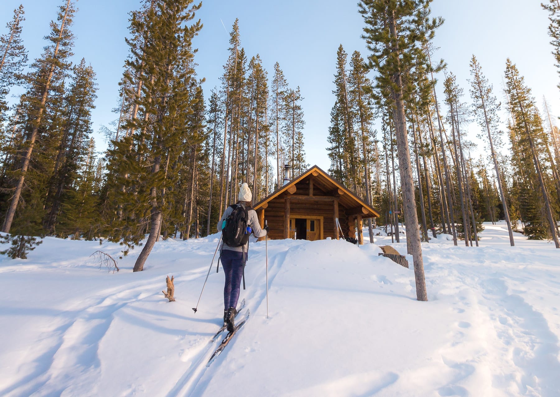 Cross-country skier at Swampy Lakes Sno-Park